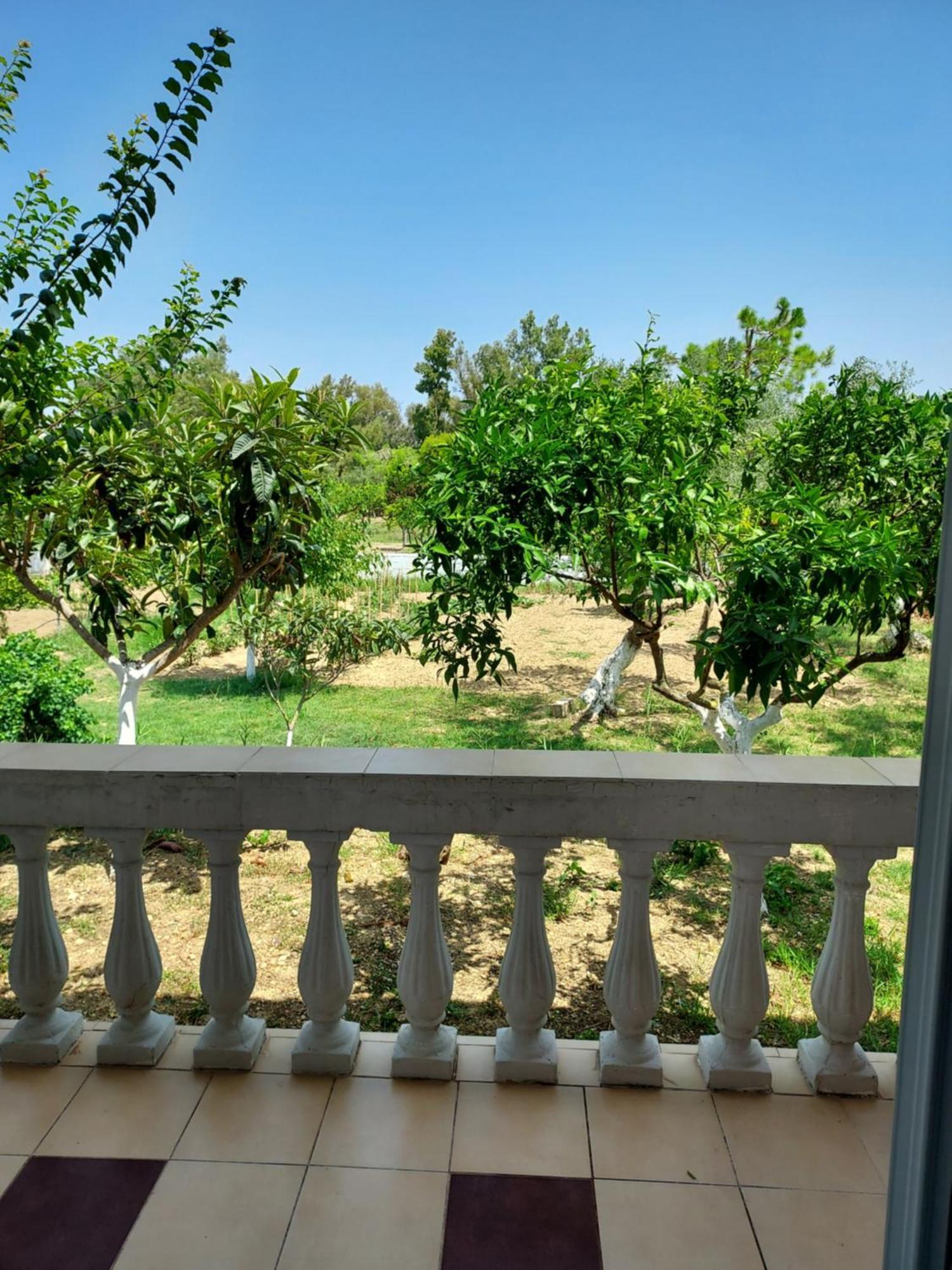 Canditas Studios Tsilivi  Exterior photo