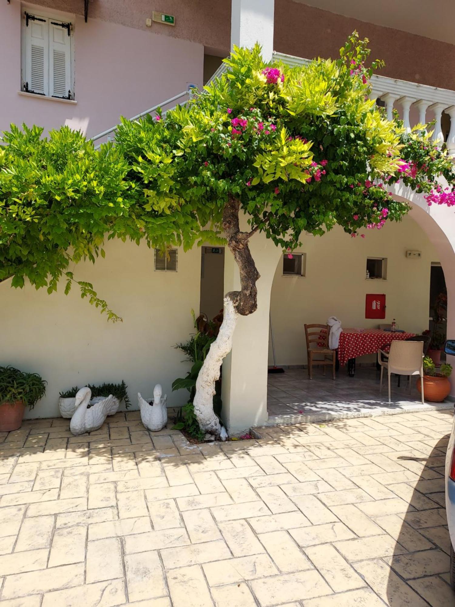 Canditas Studios Tsilivi  Exterior photo